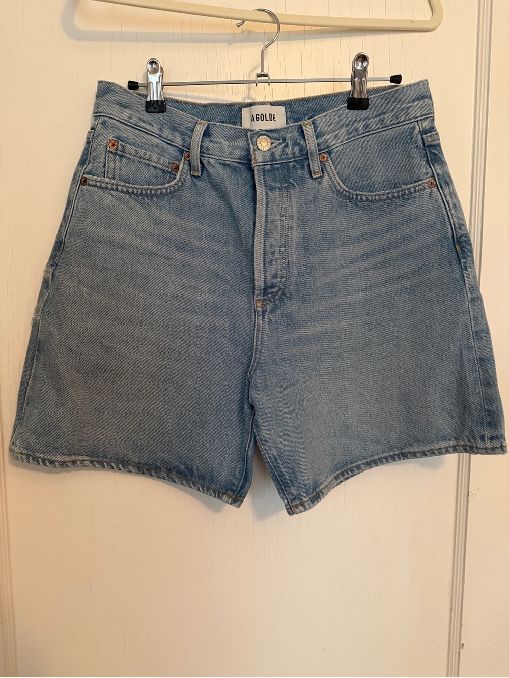 AGOLDE Dame Shorts: High Rise Baggy